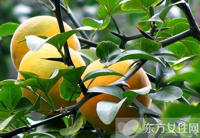 小叶增生食疗偏方 小心这些食物会加重病情哦