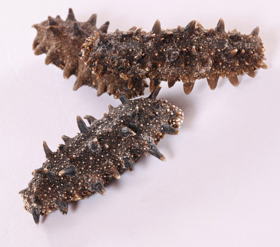 海参的5种美味吃法 滋养补益正当时