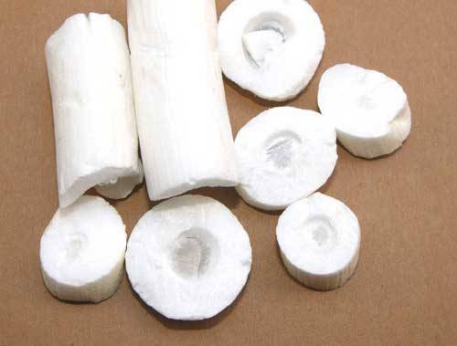 通草的功效与作用 通草怎么吃最发奶