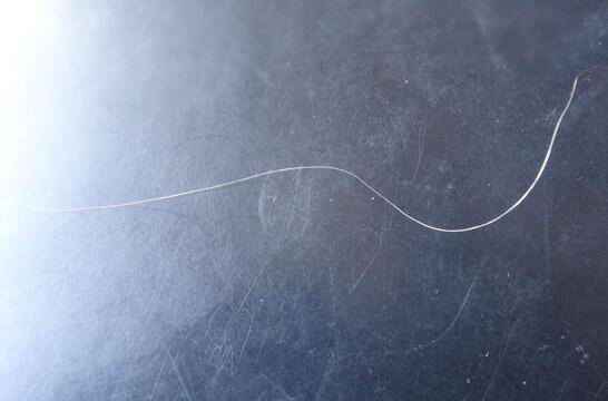 头发变白形成原因 看哪些你已中招