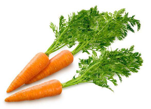 气血不足吃什么食物好 12个症状需警惕