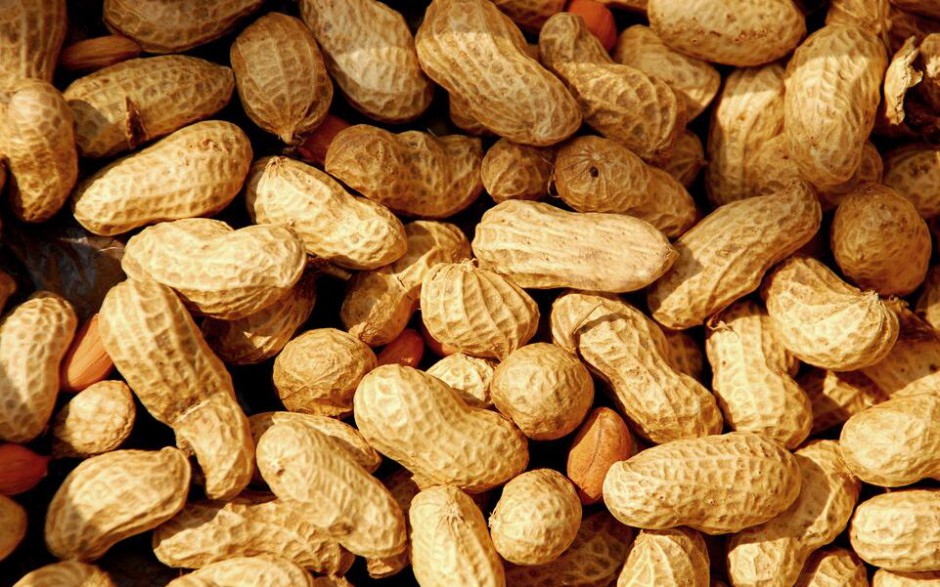 水煮花生米的做法大全 花生的营养价值