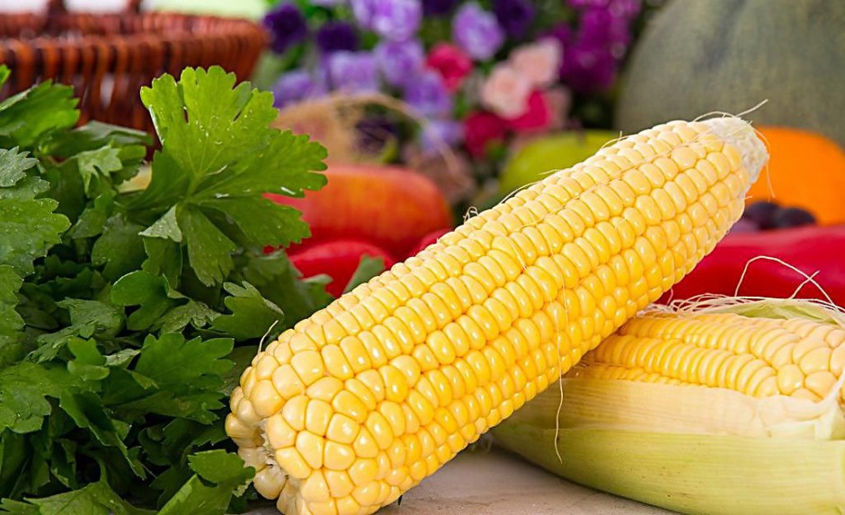 排骨玉米汤竟有这么多好处 赶紧喝起来