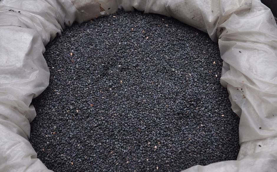 揭黑芝麻的功效与作用 经常吃还能延年益寿