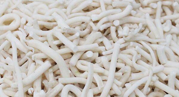 通草的功效与作用 通草怎么吃最发奶