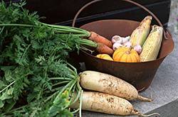 白萝卜怎么做好吃 有哪些功效