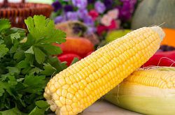 排骨玉米汤竟有这么多好处 赶紧喝起来