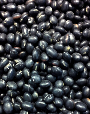 脱发怎么办 日常六种食物可有效防止脱发