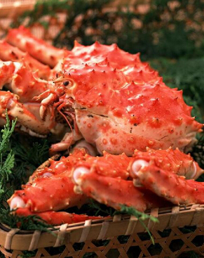 孕妇不能吃哪些食物 孕妇的饮食禁忌