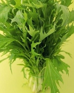 小儿脑瘫 合理的饮食对小儿脑瘫有益