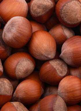 肝火旺盛怎么调理 春季肝火旺饮食调理方法