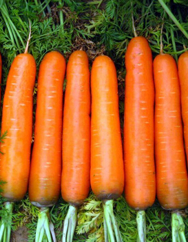 吃什么防辐射 五种防辐射又美容养胎的食物