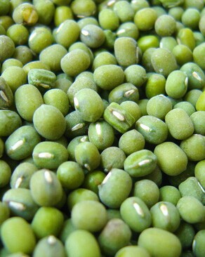 脱发治疗 掉头发吃什么好