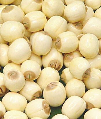 小儿脑瘫 小儿脑瘫饮食护理要点及饮食禁忌