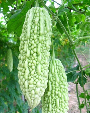 前列腺炎怎么治疗 水果缓解前列腺炎