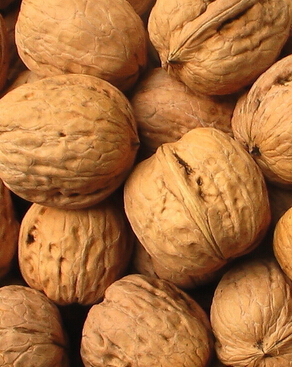 吃什么长头发 什么食物有利于头发生长