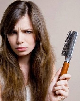 脱发食疗 预防脱发的食疗方法