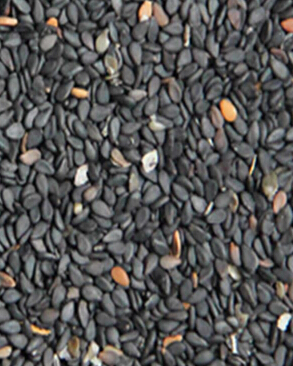 吃什么长头发 什么食物有利于头发生长