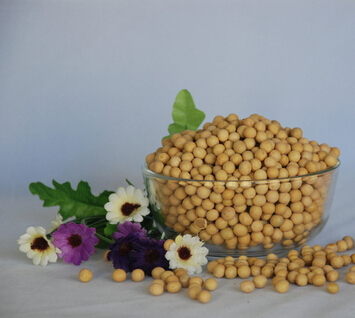 肾结石不能吃什么 肾结石的饮食禁忌