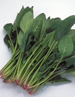 肾结石饮食注意 肾结石治疗克星与饮食禁忌