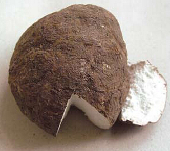 肾虚吃什么好 中医教你怎样滋补最养肾