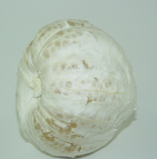 老年人养生 老人吃熟水果食疗效果加倍