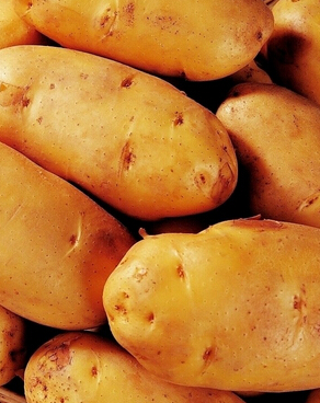 脱发吃什么好 治疗女性脱发的饮食