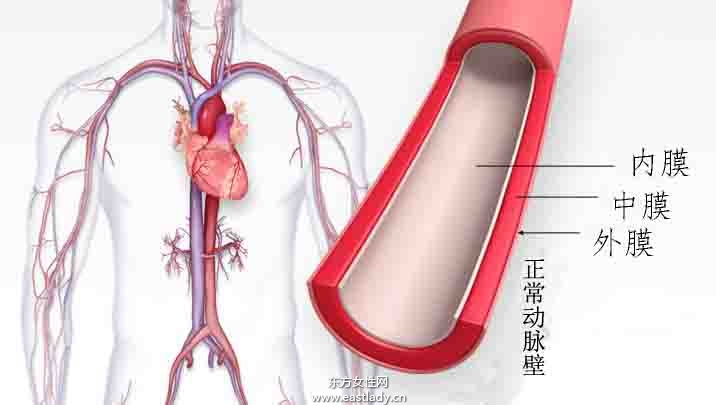 毛细血管破裂是怎么回事 揭秘毛细血管破裂的症状