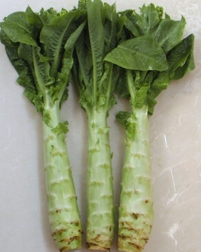 脱发怎么办 远离脱发饮食让你长头发