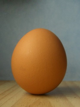 婴幼儿饮食 婴幼儿不宜吃过多的鸡蛋