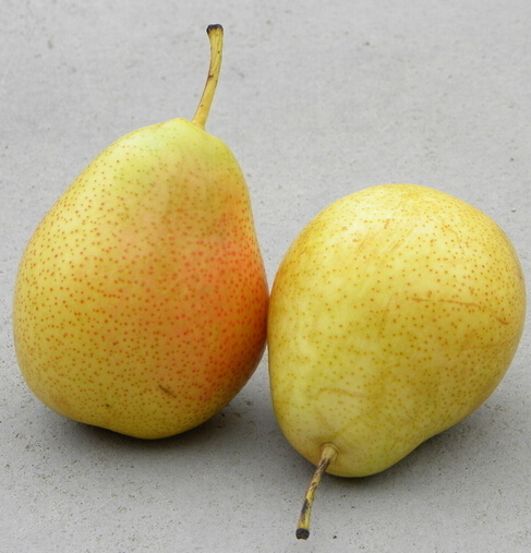 肾结石饮食注意 肾结石应该吃什么水果好