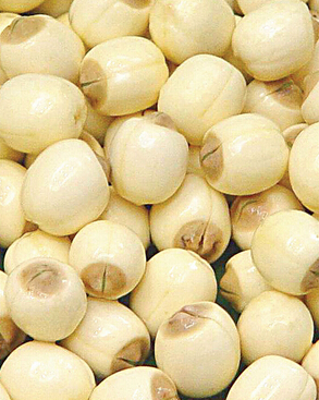 合理膳食 老年人健康的膳食口诀