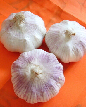 癫痫病人不能吃什么 癫痫病患者饮食禁忌