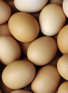 小儿脑瘫 冬季小儿脑瘫的饮食调理