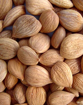 前列腺炎 有哪些食疗可以预防前列腺炎