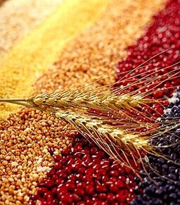 冠心病的注意事项 冠心病的饮食