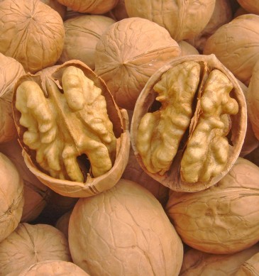 吃什么补脑 九种有助青少年强身健脑的食物