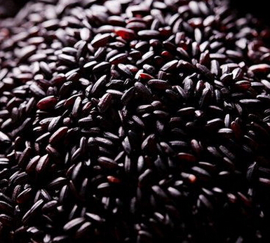 中医养生 吃这五种黑色食物可以养肾