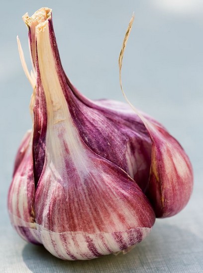 怎样保护肝脏 保护肝脏必吃8大蔬菜