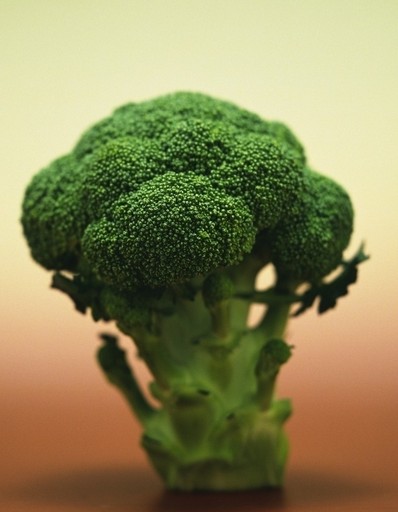 痛风的饮食 痛风能吃西兰花吗