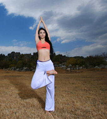 练习瑜伽十招 塑健康脊柱