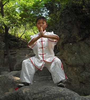 武术基本功 传统武术规则和打法