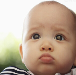 婴幼儿养生食谱 婴幼儿食物营养指南