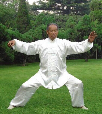 杨氏太极拳 如何练习杨氏太极拳基本功