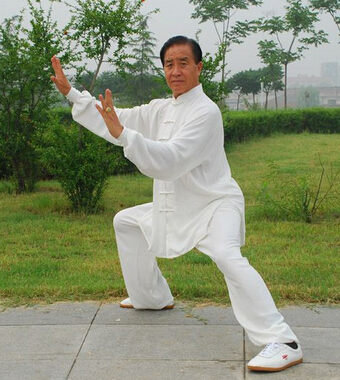 陈氏太极拳 太极拳的学习方法