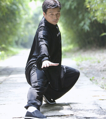 杨氏太极拳 如何学习杨氏太极拳