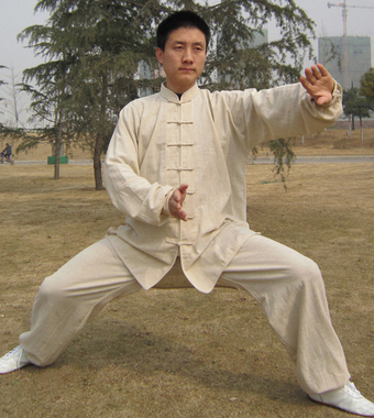 养生太极拳 太极拳的散打有哪些原则