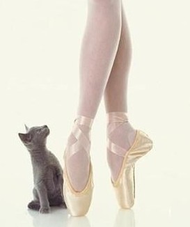 跳拉丁舞有什么好处 帮助你塑造完美腿型