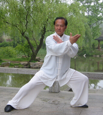 杨氏太极拳 太极拳的学习方法