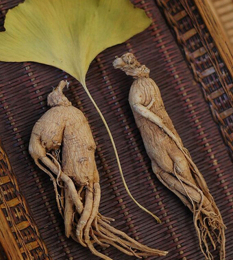 减肥方法 日本这样用气功减肥